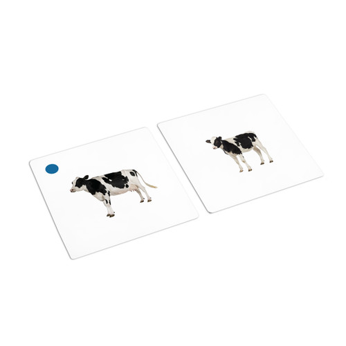 Farm Animals and Their Young Matching Cards (IT-0013)