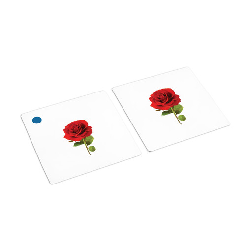 Flowers Matching Cards (IT-0040)