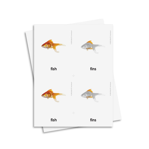 Parts of a Fish 3 Part Cards - Digital Printable