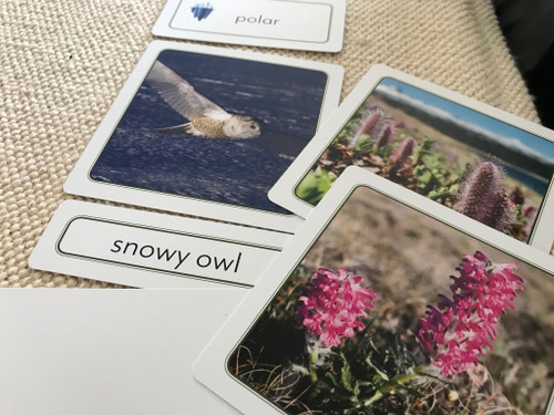 Plants and Animals of the Biomes - ETC Montessori Online