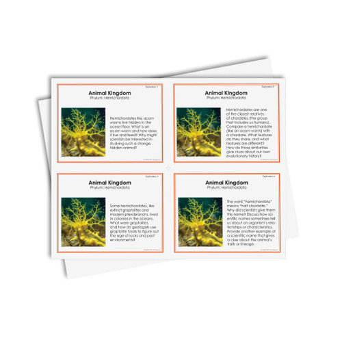 Kingdom Research Questions Level 9-12 - Homeschool Edition