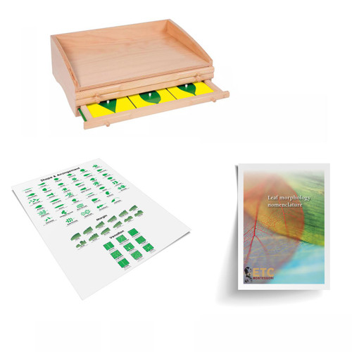 Botany Cabinet Bundle Level 6-9