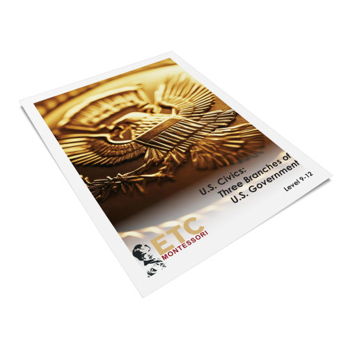 US Civics - Three Branches of Government