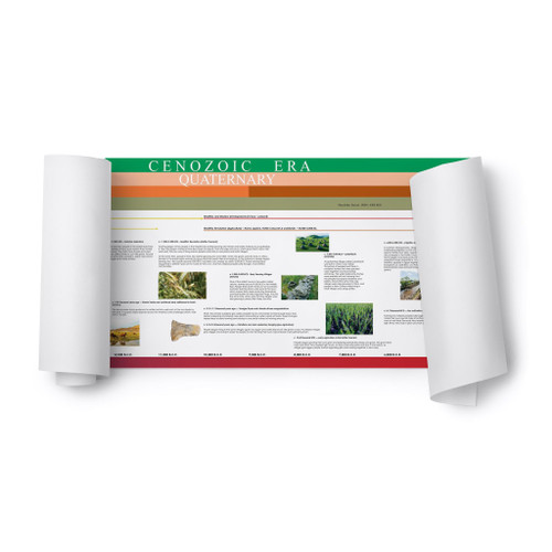 Second Timeline of Early Man