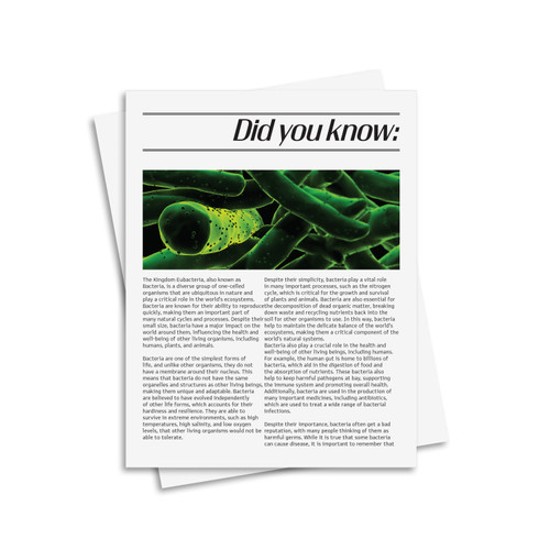 Eubacteria Kingdom Classification System - Digital Printable