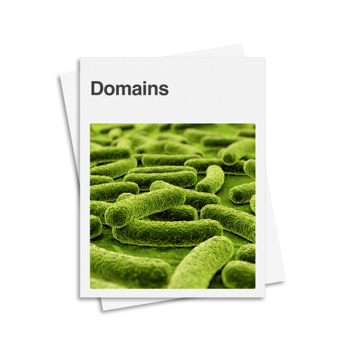 The Three Domains Classification System - Digital Printable