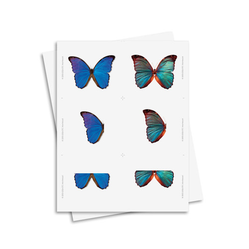 Parts to a Whole - Digital Printable