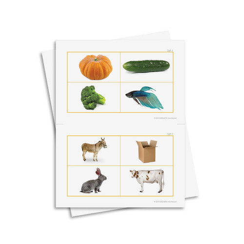 Same and Different - Digital Printable