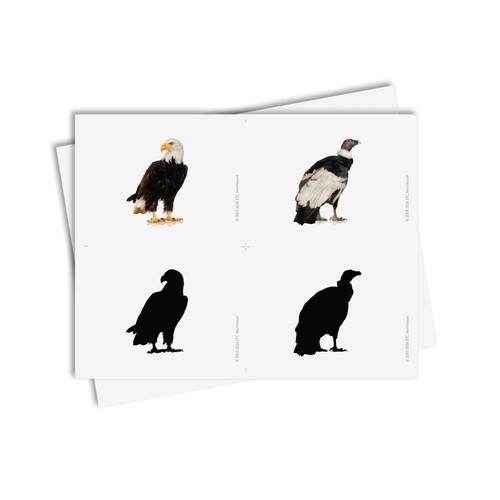 Birds Silhouettes: Matching Cards - Digital Printable