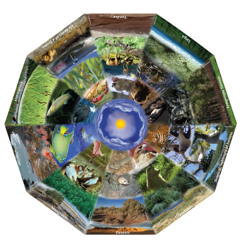 The Interconnections of Biomes - Digital Printable