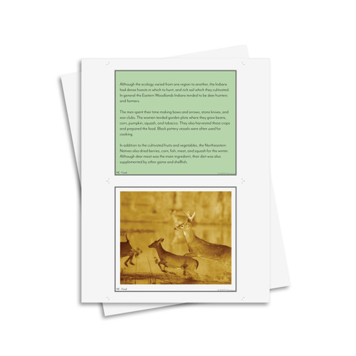 Fundamental Needs of Native Americans - Digital Printable