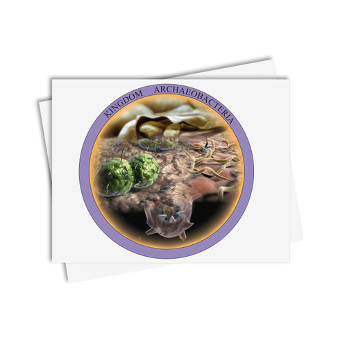 Chinese Boxes Archaebacteria - Digital Printable