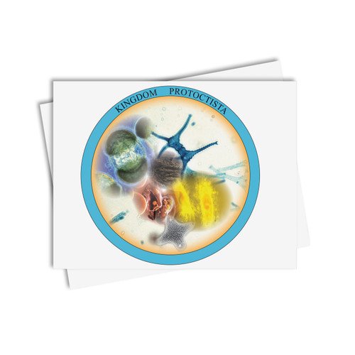 Chinese Boxes Protoctista - Digital Printable