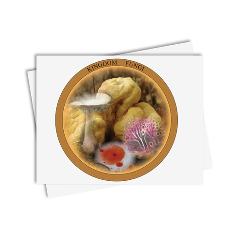 Chinese Boxes Fungi - Digital Printable