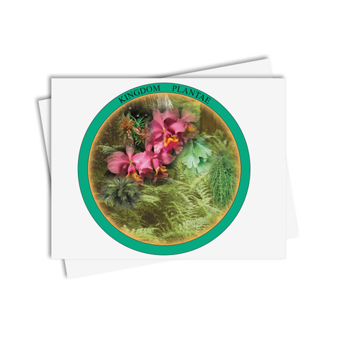 Chinese Boxes Plantae - Digital Printable