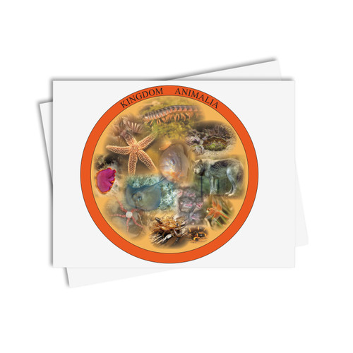 Chinese Boxes Animalia - Digital Printable