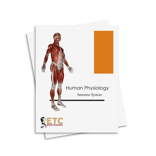 Human Physiology Nomenclature: Immune System - Digital Printable