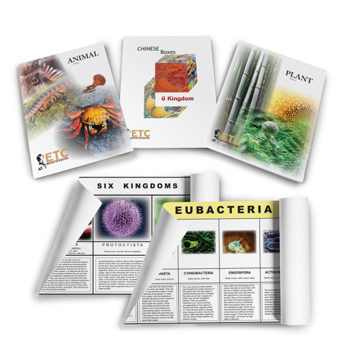 Six Kingdom Bundle PRO - Digital Printable