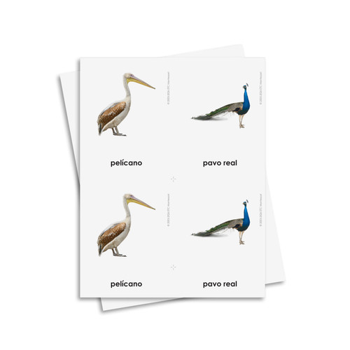 Tarjetas de tres partes de aves - material digital imprimible
