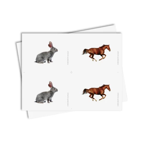 Tarjetas de asociación de animales domésticos - material digital imprimible