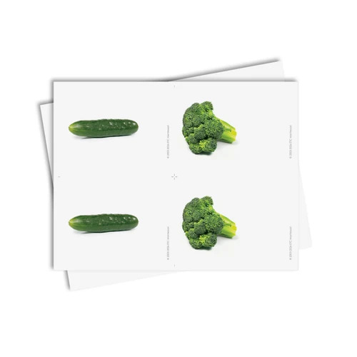Tarjetas de asociación de verduras - material digital imprimible