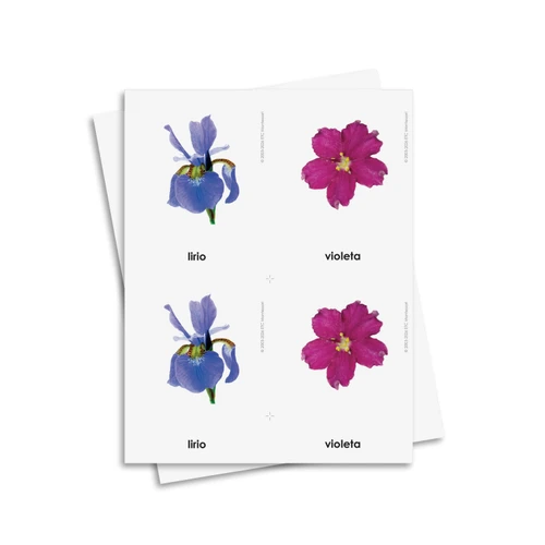 Tarjetas de tres partes de flores - material digital imprimible