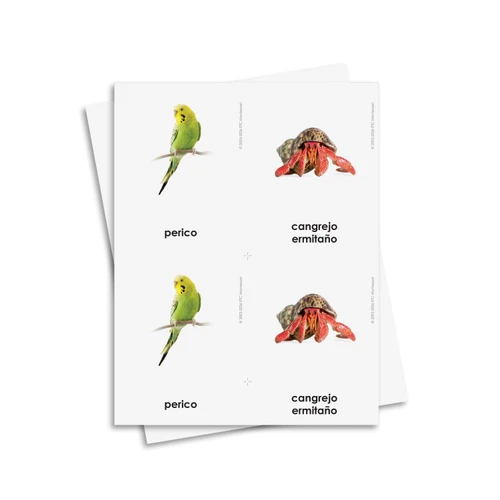 Tarjetas de tres partes de mascotas - material digital imprimible