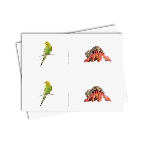 Tarjetas de asociación de mascotas - material digital imprimible