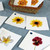 Flowers Matching Cards (IT-0040)