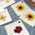 Flowers Matching Cards (IT-0040)