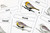 Parts of a Bird 3 Part Cards