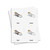 Parts of a Bird 3 Part Cards - Digital Printable