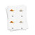 Parts of a Fish 3 Part Cards - Digital Printable