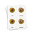 Parts of a Fruit 3 Part Cards - Digital Printable
