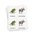 Animals of Africa 3 Part Cards - Homeschool Edition