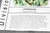 Fungi Kingdom Chart - Digital Printable