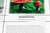 Fungi Kingdom Chart - Digital Printable