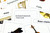 Orchestral Instruments 3 Part Cards - Digital Printable