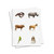Vertebrates and Invertebrates Sorting - Digital Printable