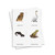 Animals of the Continents - Digital Printable