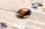 Timeline of Scientific Discoveries - Adolescent Level