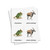 African Animals 3 Part Cards - Digital Printable