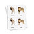 African Animals 3 Part Cards - Digital Printable