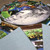 The Interconnections of Biomes - Digital Printable