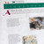 Timeline of Art History - Digital Printable