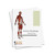 Human Physiology Nomenclature: Skeletal System - Digital Printable