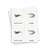 Tarjetas de tres partes de reptiles - material digital imprimible