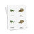 Tarjetas de tres partes de reptiles - material digital imprimible
