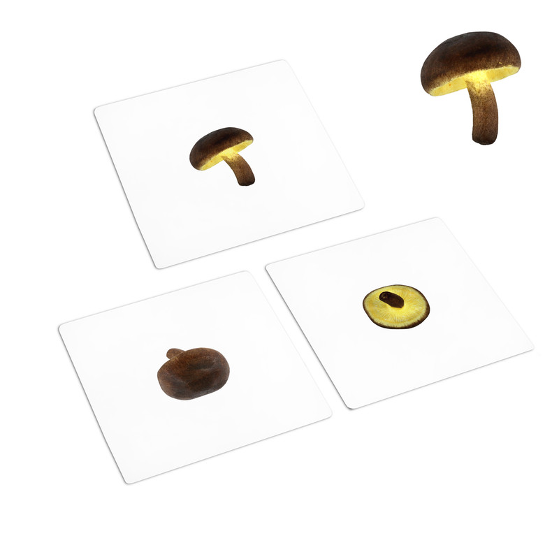 Vegetables to Object Activities Set 2 (IT-0094)