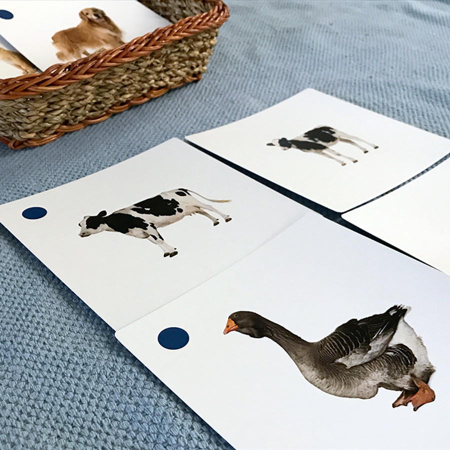 Farm Animals and Their Young Matching Cards (IT-0013)